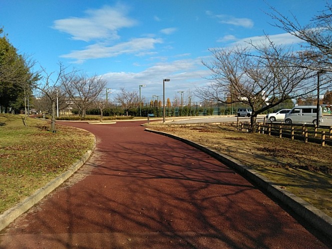 歌の森運動公園園路更新工事